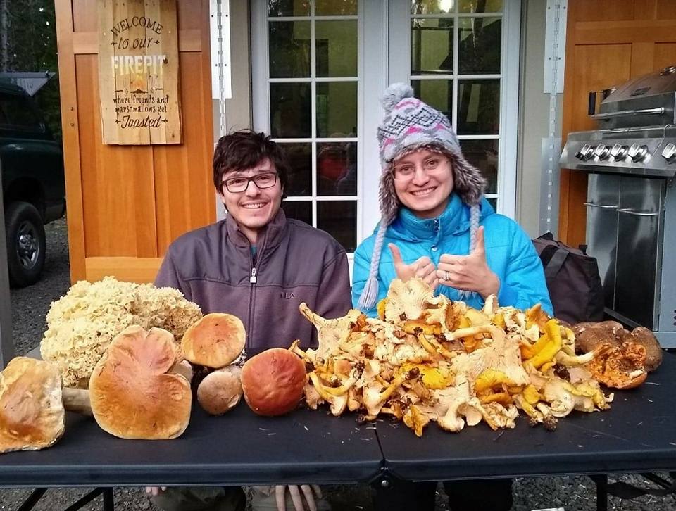 Two foragers giving a thumbs up behind a huge table spread of porcini, cauliflower, and chanterelle mushrooms